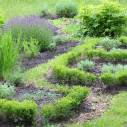 Taille, Élagage et Abattage d'Arbres Respectant l'Équilibre Naturel Yutz